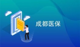 成都市医保最新爆料,最新调整与福利亮点一览